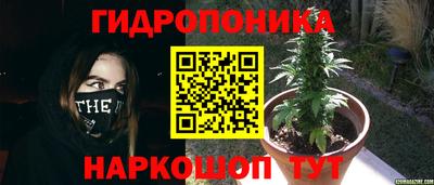 мяу мяу мука Пугачёв
