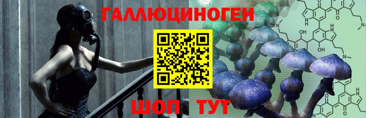 купить закладку  Вход с VPN  Нижневартовск  Псилоцибиновые грибы мицелий 